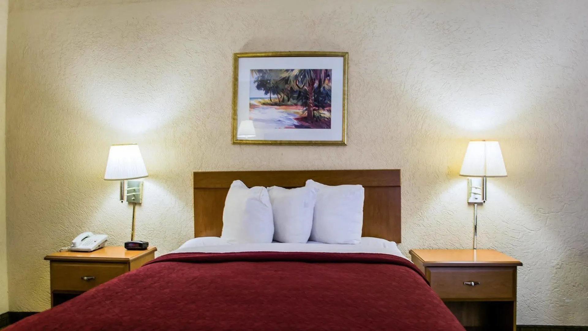 Econo Lodge Busch Gardens Tampa