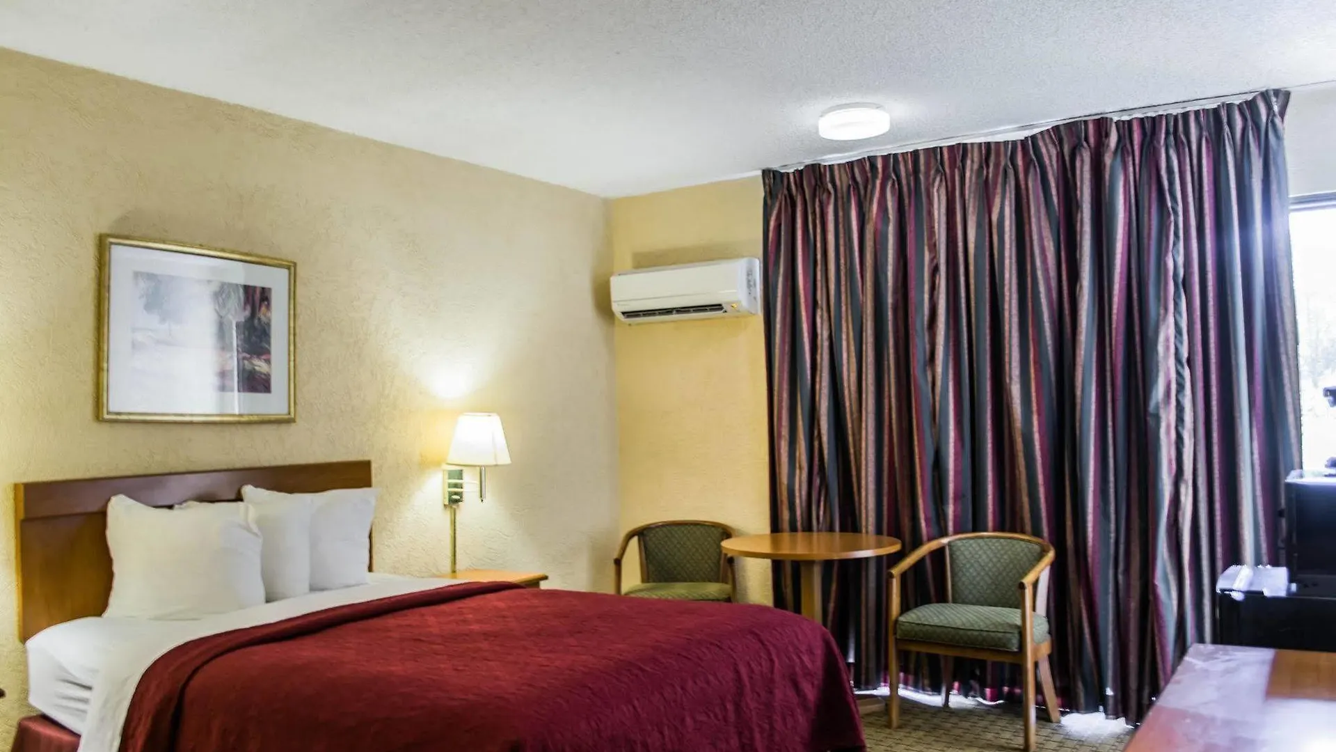 Hotel Econo Lodge Busch Gardens Tampa